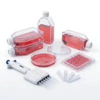 cell culture